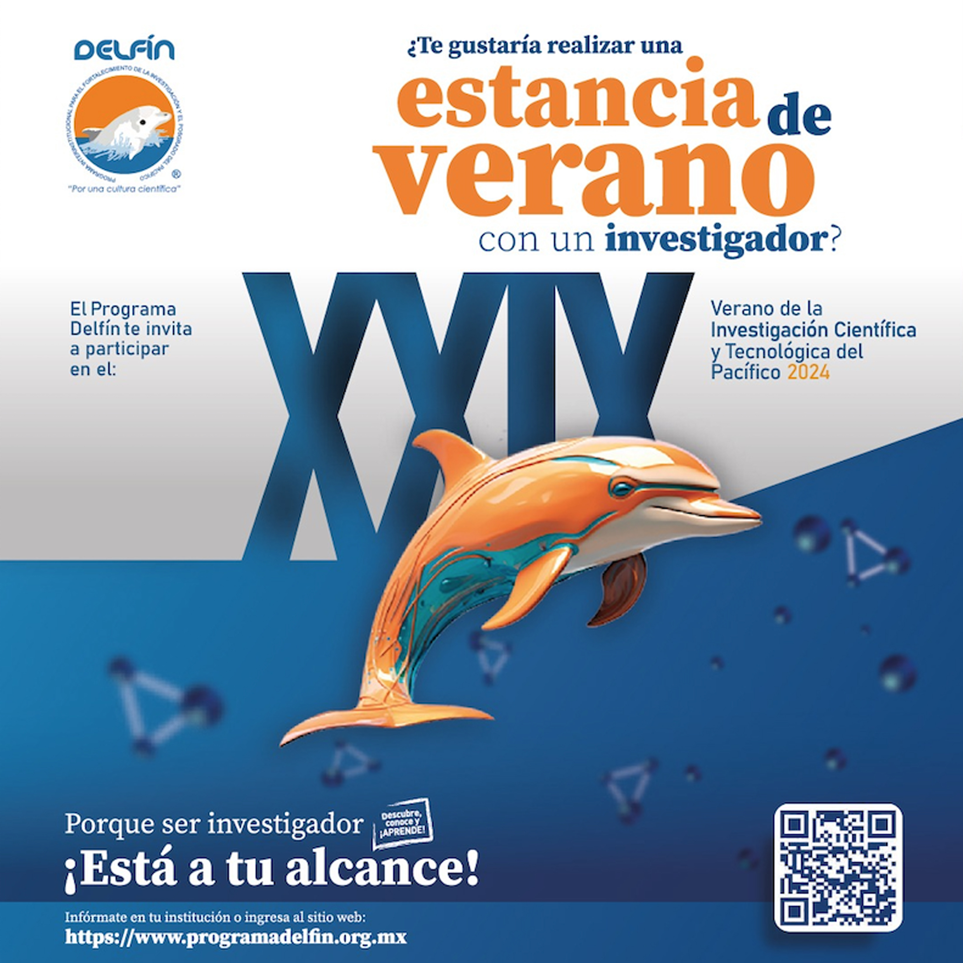 Abierta convocatoria de verano del programa delf n boletines buap